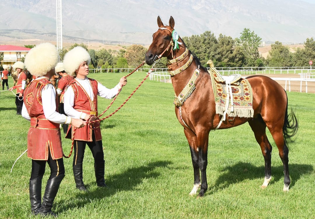 Ahal-Teke horse breeding art was included in the UNESCO cultural heritage list