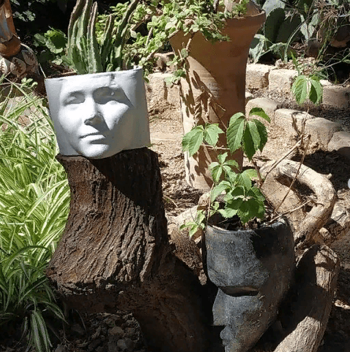 Aşgabatdaky Botanika bagynda senetçileriň ýarmarkasy geçiriler