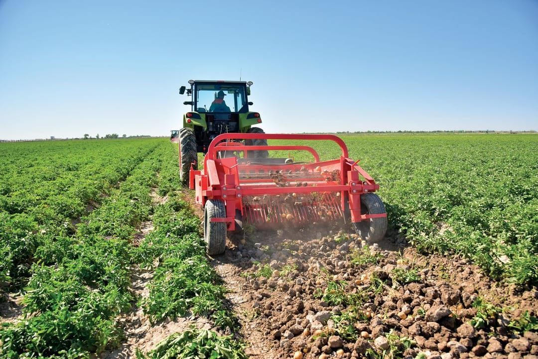 Президент Туркменистана разрешил предоставлять юрлицам земельные участки