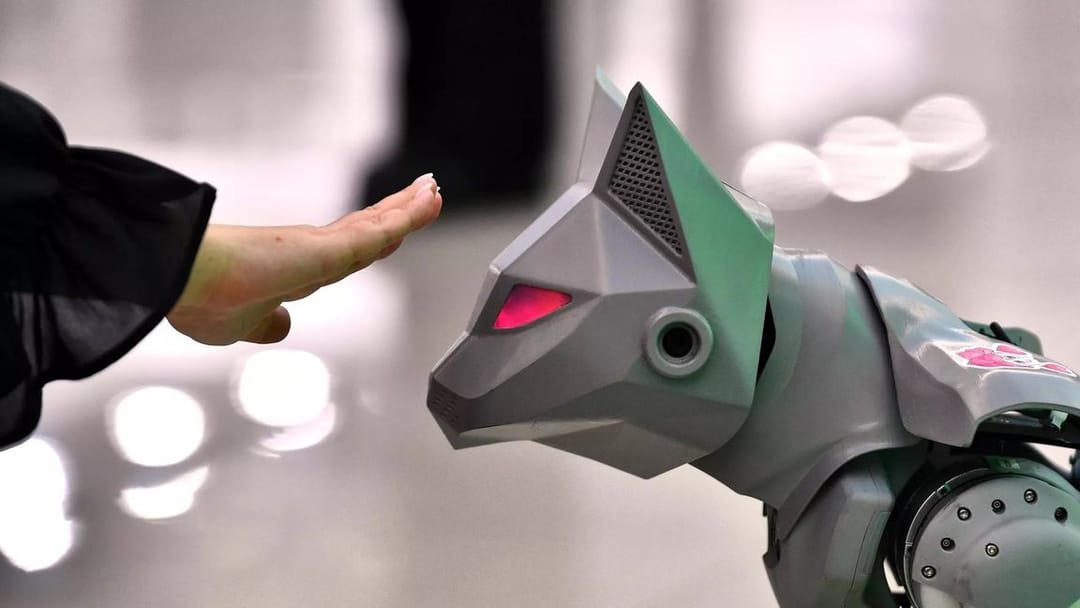 “Robocats” began working in Moscow hospitals