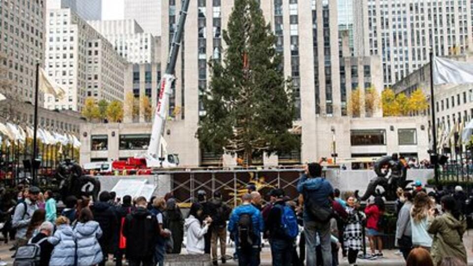 В Нью-Йорке установили 24-метровую рождественскую ель