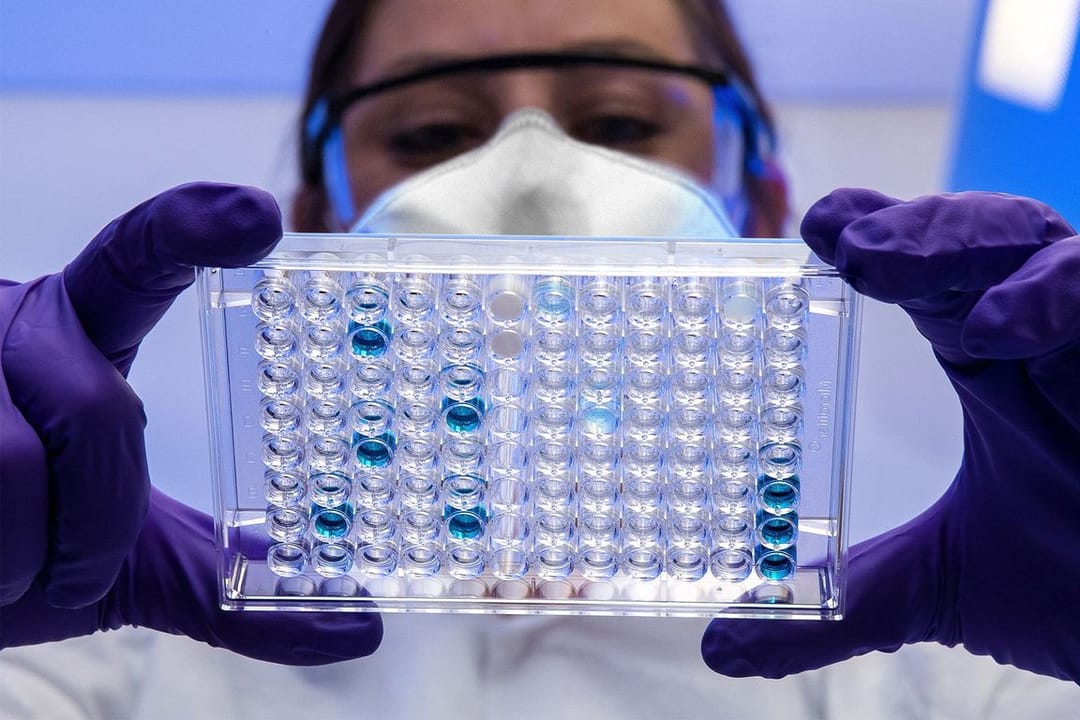 Müsürde ýüzlerçe adam näbelli kesele ýolugdy