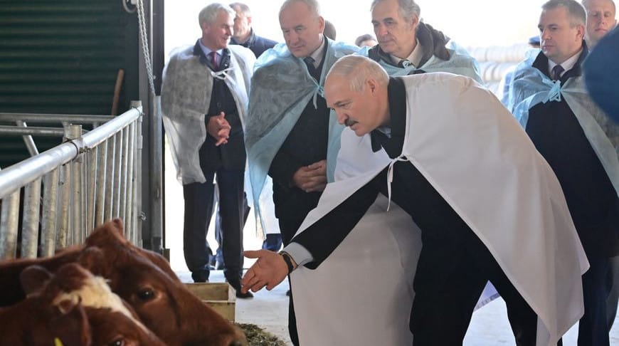 Lukaşenko ýurtda süýt önümçiligini kämilleşdirmek barada tabşyryk berdi