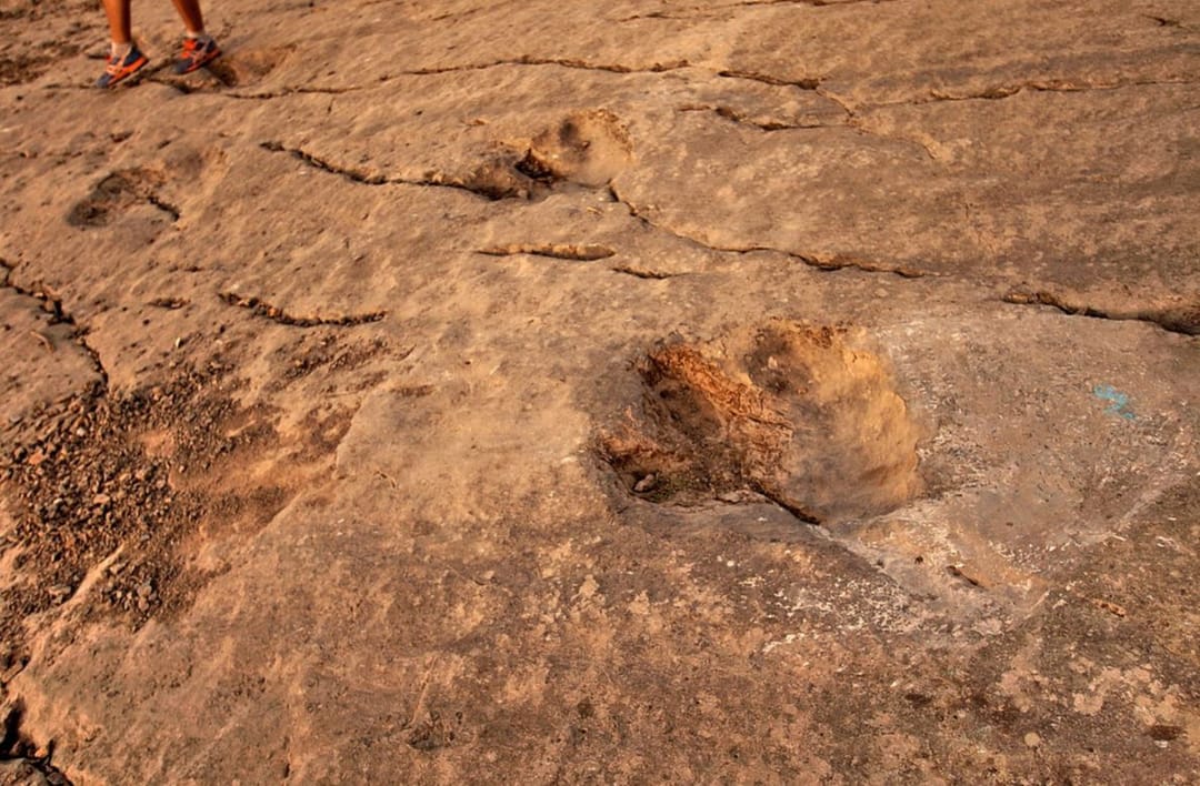 Раскрыта загадка появления в Туркменистане следов динозавров
