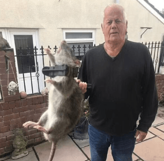 Britaniýaly pensioner ýarym metrlik alaka tutdy