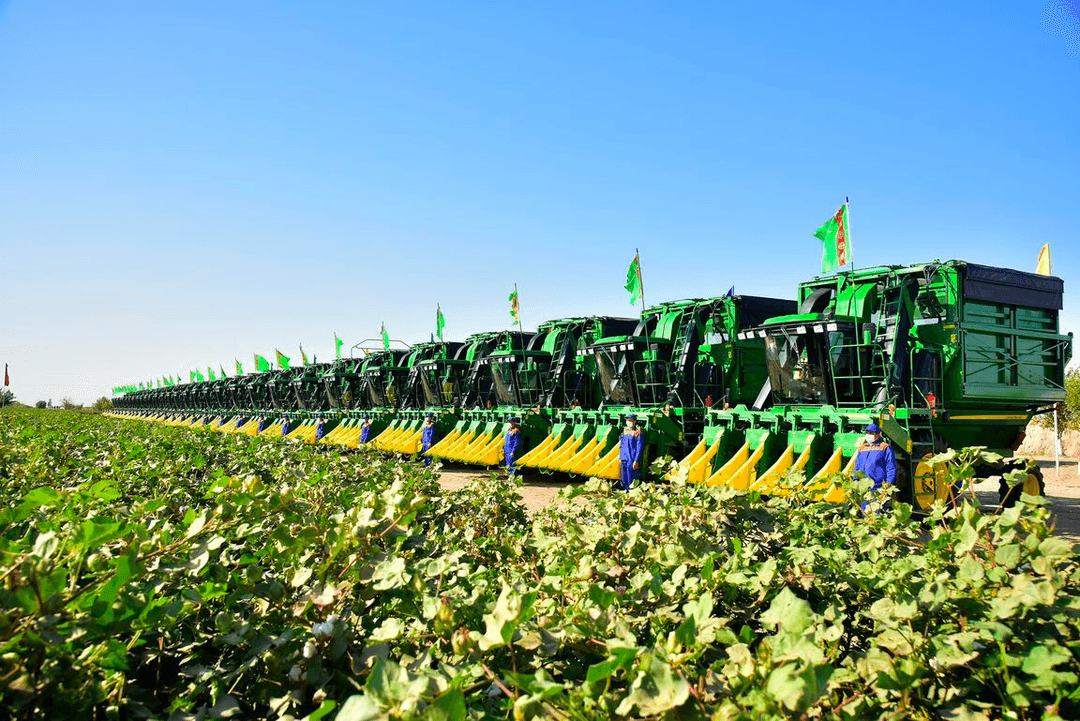 В Туркменистане продолжается работа по уборке хлопка