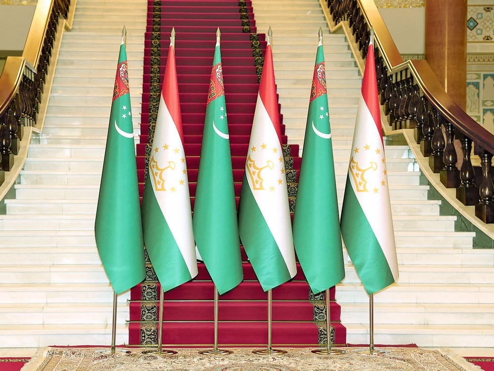 Deputy Prime Minister of Turkmenistan for Agro-Industrial Issues met with the President of Tajikistan