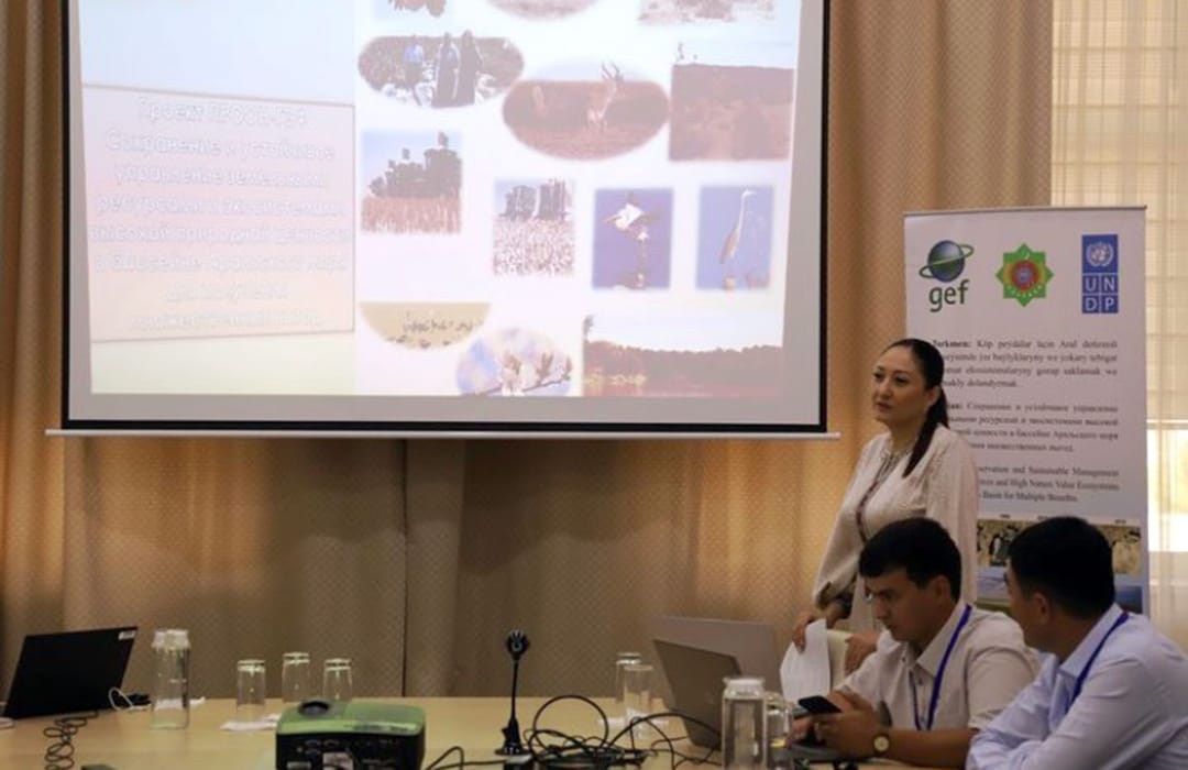 Restoration and improvement of resource use in the Amu Darya basin discussed in Turkmenistan