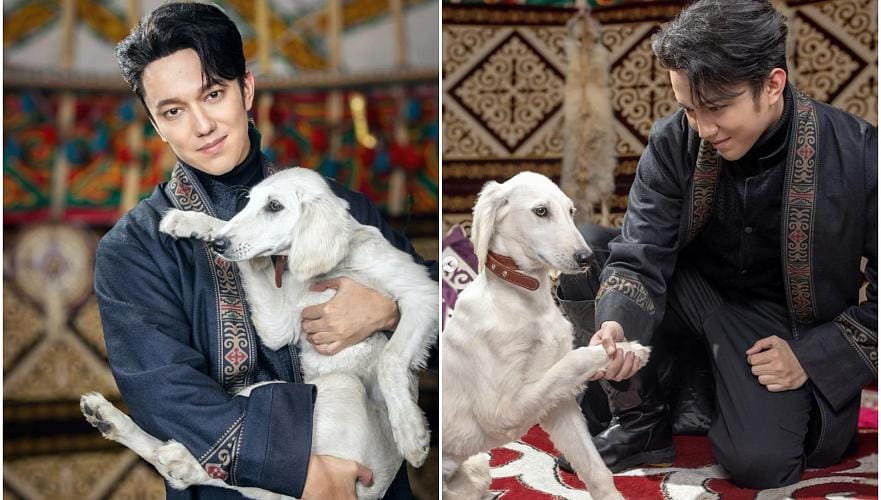 Президент Токаев подарил Димашу Кудайбергенову щенка казахского тазы