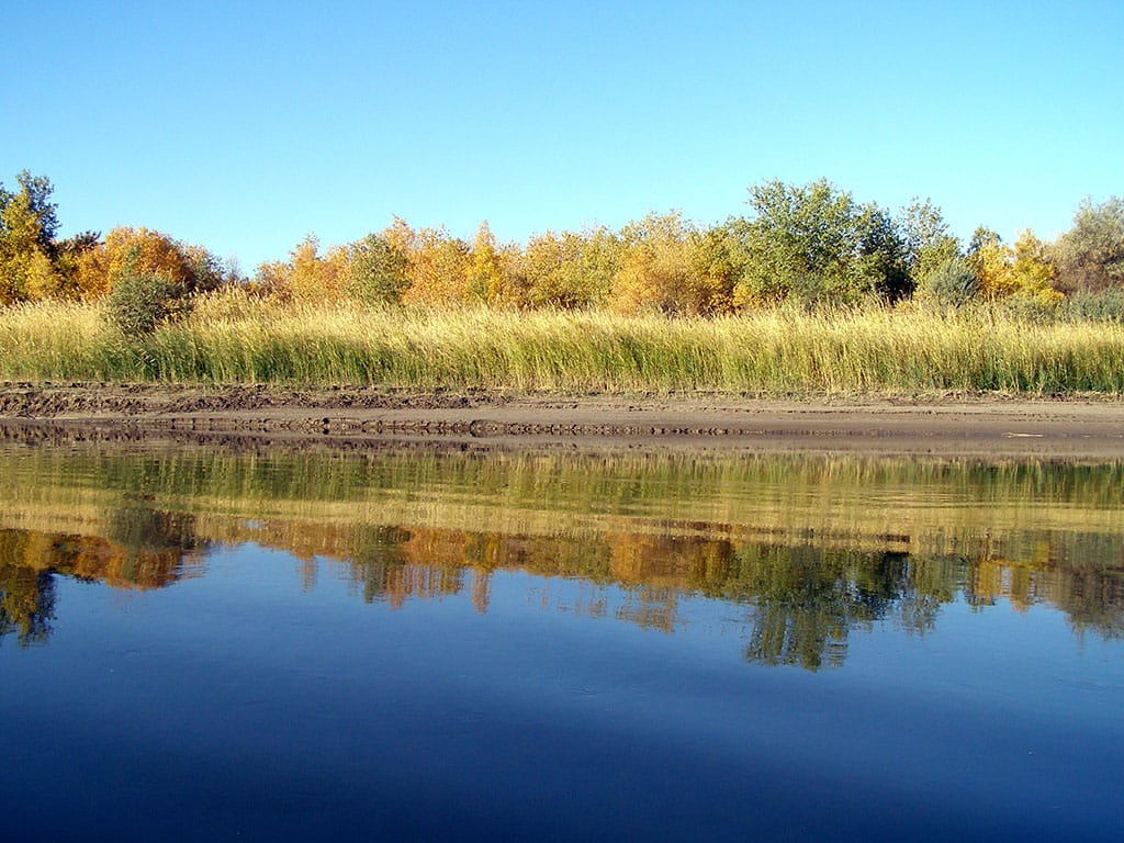 В Туркменистане отметили 40-летие Амударьинского государственного природного заповедника