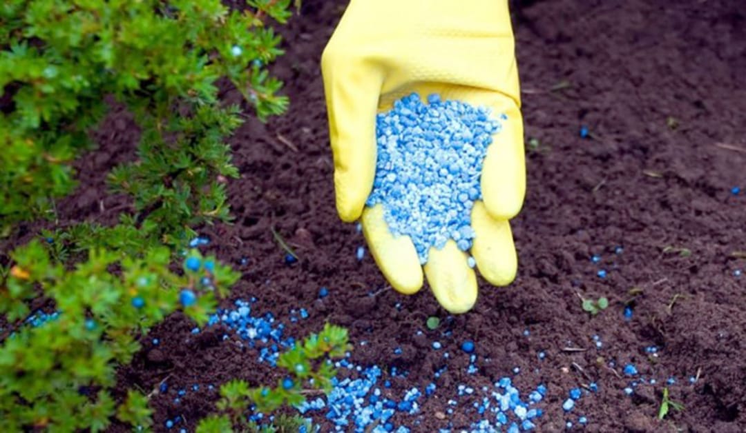 Türkmenabatda bahasy 18 million dollarlyk garyşyk dökün öndürjek taslama durmuşa geçiriler