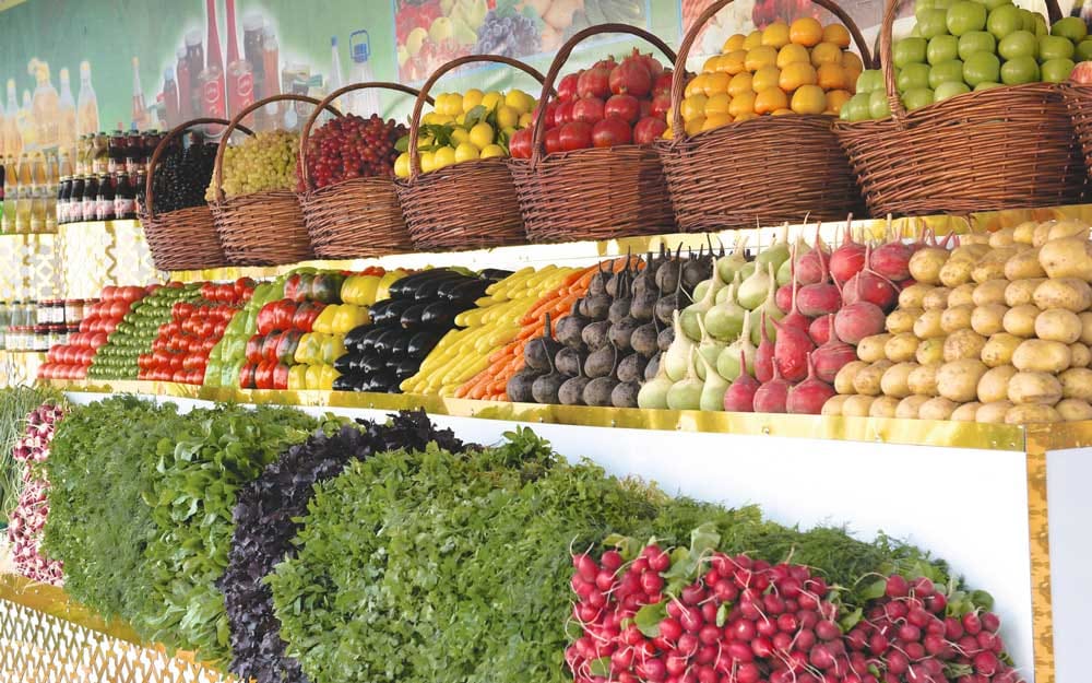 An increase in agricultural production was recorded in the Lebap velayat of Turkmenistan