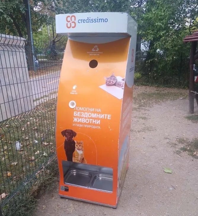 В Болгарии борются с пластиковым загрязнением, помогая бездомным животным