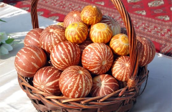 Türkmen alymlary gawunlaryň seçgi işlerini alyp barýarlar