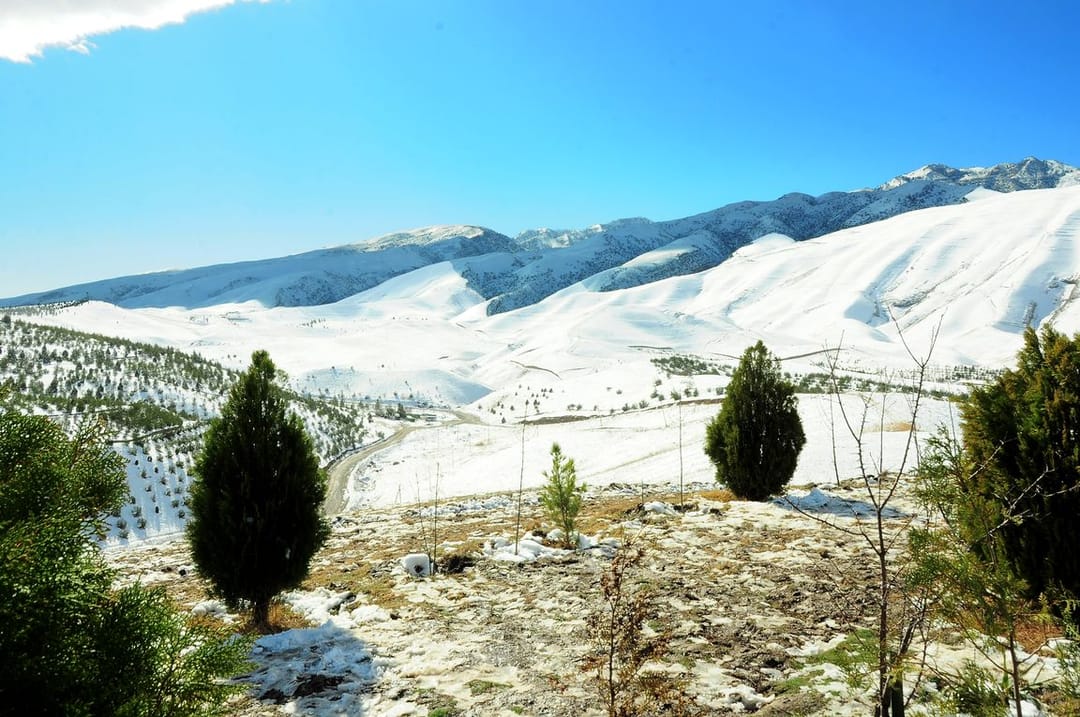 Погода в Туркменистане на 6 декабря