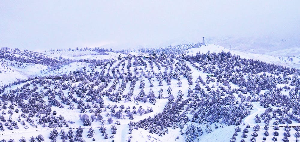 Ашхабадская канатная дорога пользуется неизменной популярностью у жителей Туркменистана