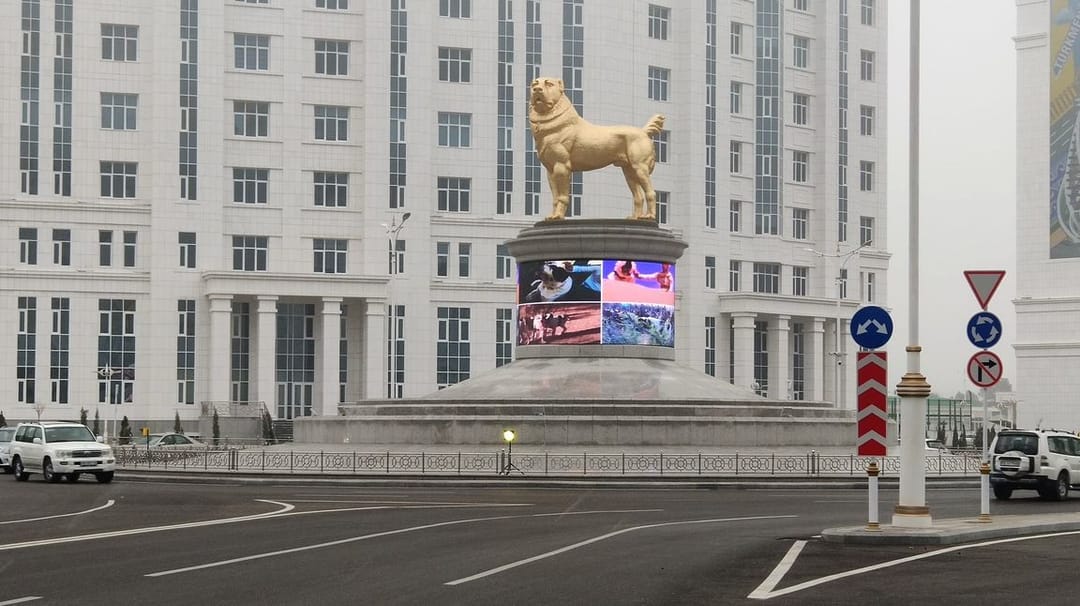 Aşgabatda uly ýollaryň ugrundaky aýlawlara ümürli howadan goraýjy çyralar ornaşdyryldy