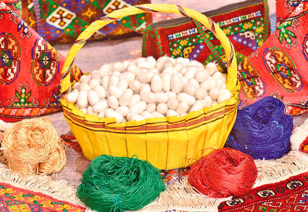 Silk growers of Turkmenistan fulfilled their obligations to harvest 2 300 tons of cocoons