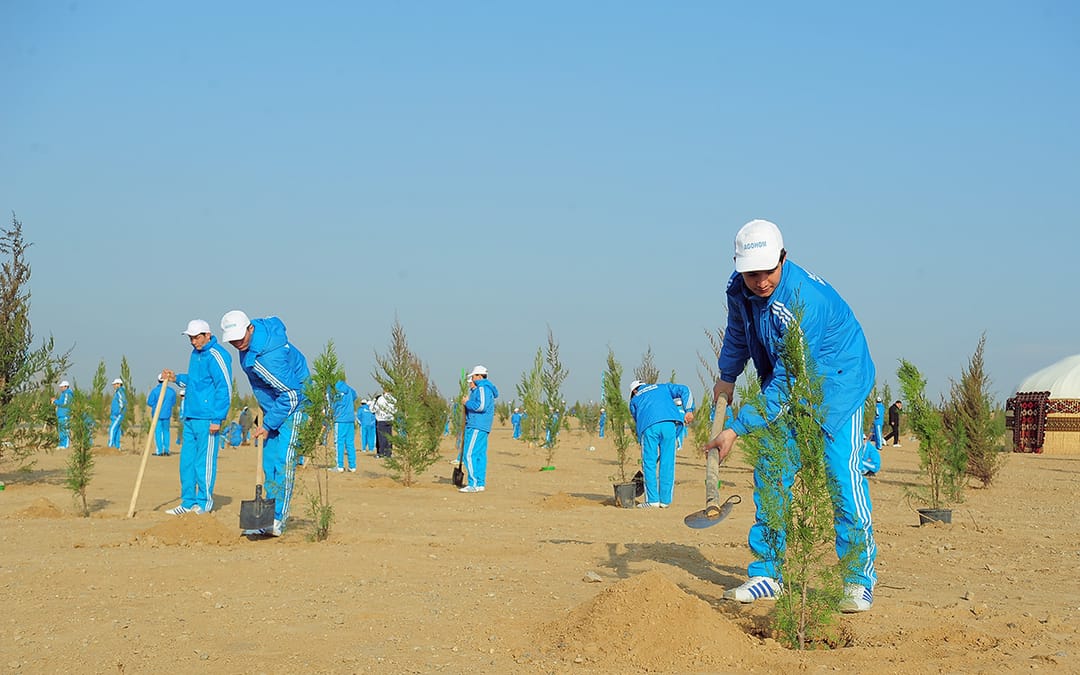 Aşgabatlylar ählihalk ýowaryna gatnaşýarlar