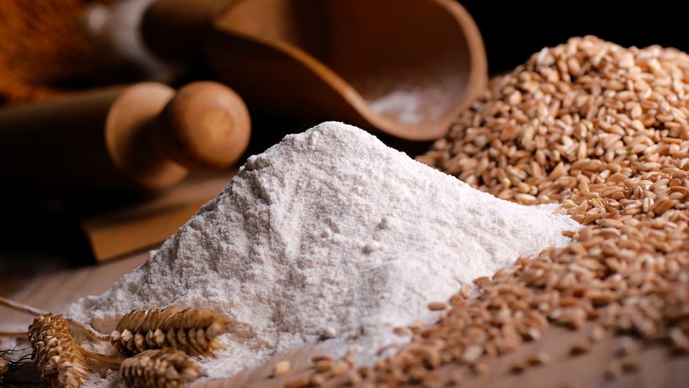 The flour-milling enterprise of Turkmenabat produced more than 11 thousand tons of flour