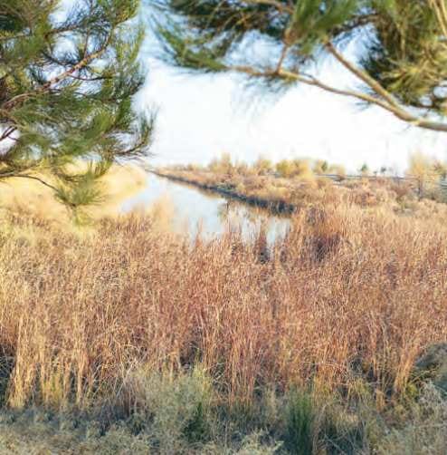 Winners of the "Protect Nature" photo contest announced in Turkmenistan