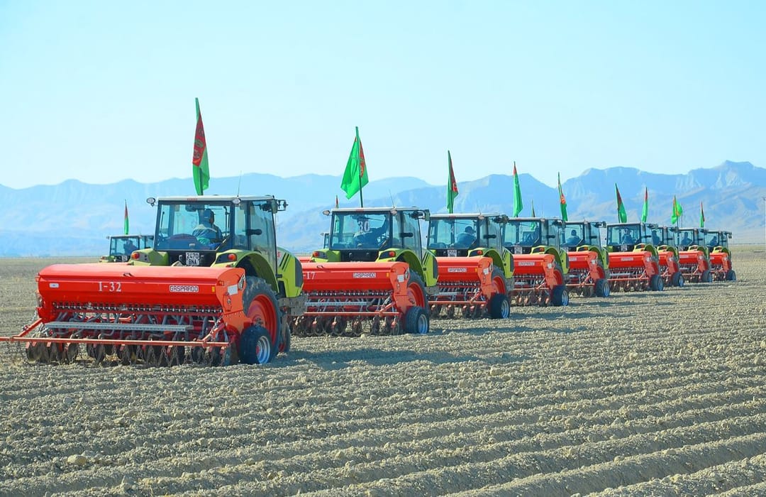 Земледельцы Балканского велаята завершили сев пшеницы