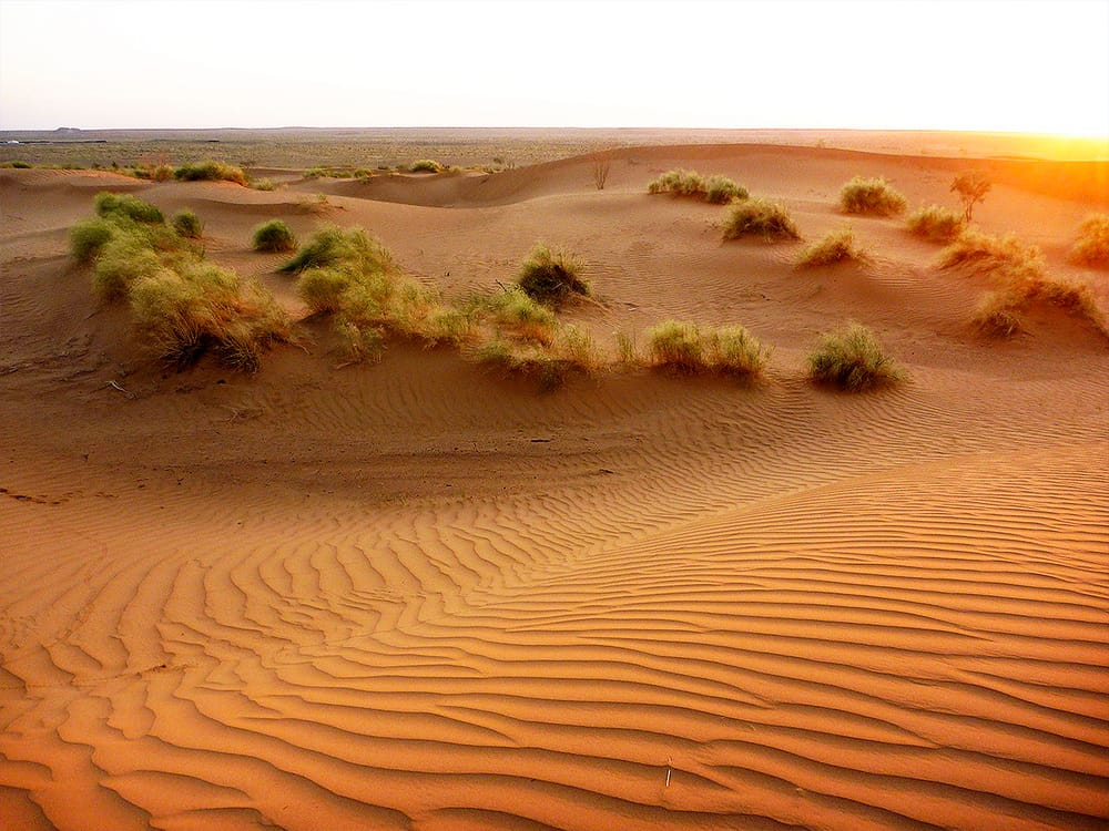 Turkmenistan will join the Central Asian initiative to protect the Turan deserts
