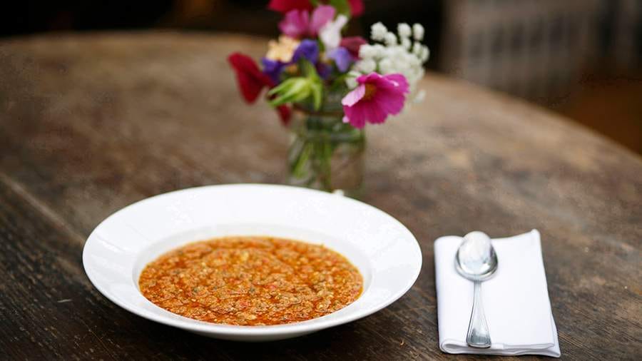 Hünärmenler yssydan goranmagyň milli usullaryny paýlaşdylar