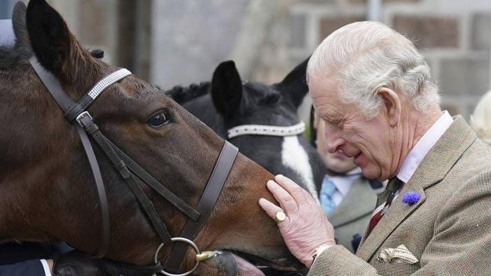 Karl III şa aýal Ýelizawetanyň atlarynyň satuwyndan 1 million ýewro gazandy