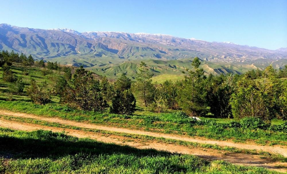 Пожарные Туркменистана убедительно просят граждан проявлять сознательность 