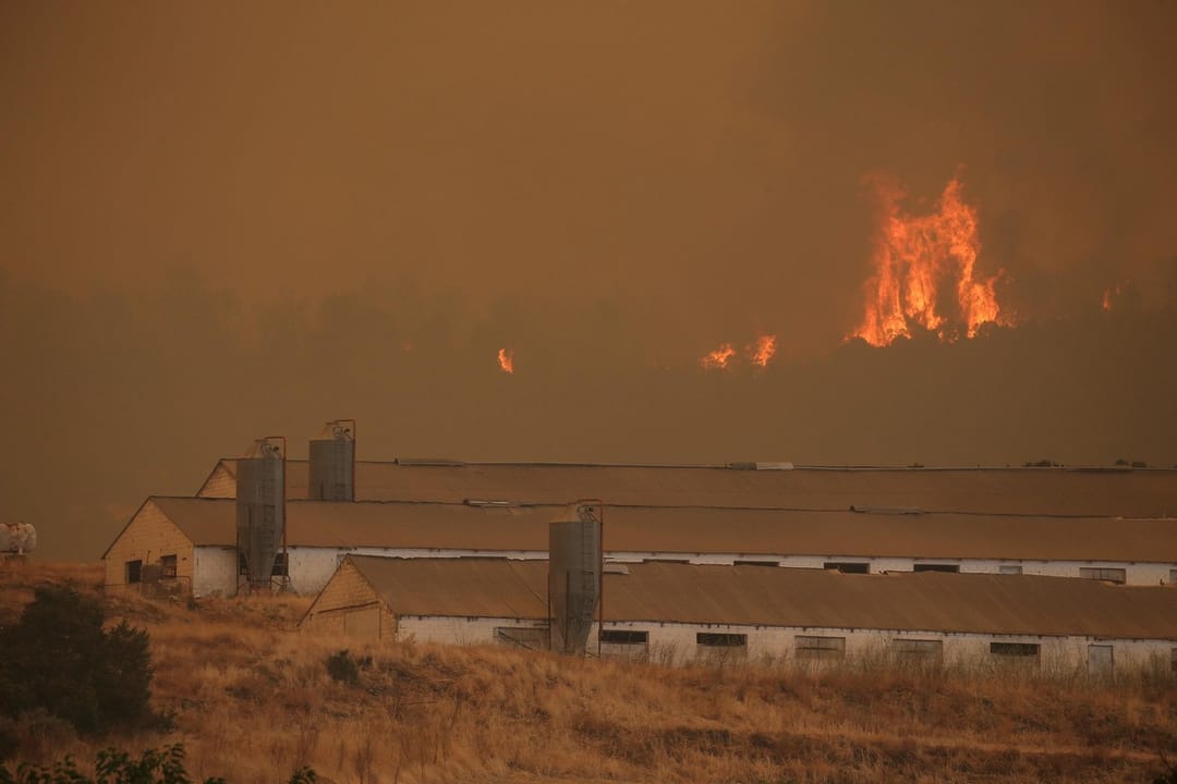 В Греции горит остров Эвбея