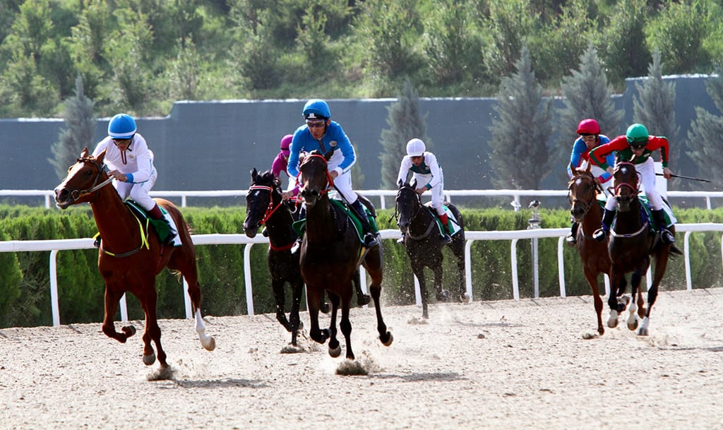 В Туркменистане создали акционерное общество для организации тотализатора на конных скачках