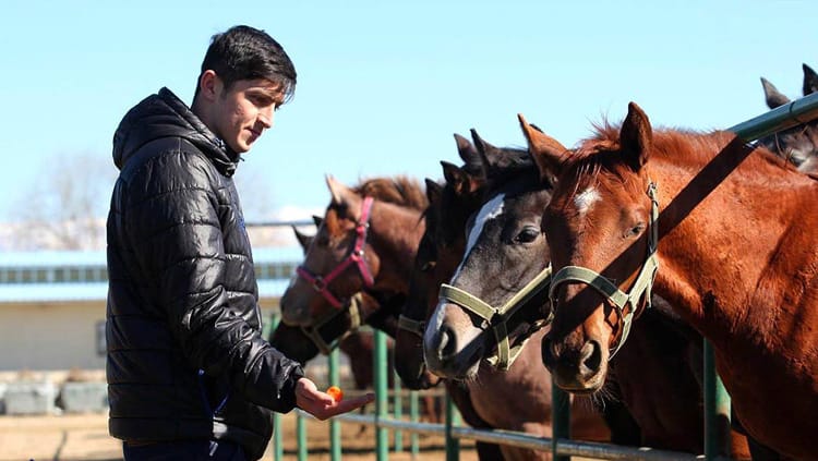 Сердар Азмун: «Для нашего народа лошади всегда на первом месте»
