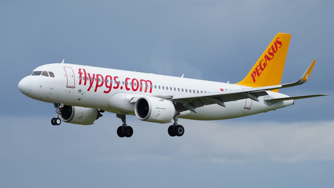 Pegasus Airlines бесплатно вывезет пассажиров в Стамбул из зоны бедствия в Турции