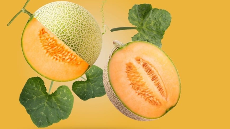 На аукционе в Японии элитные дыни продали за $23,55 тысячи