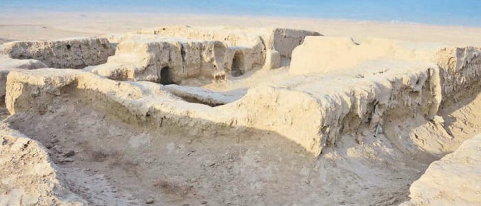 Французский археолог провел видеолекцию для туркменских студентов    