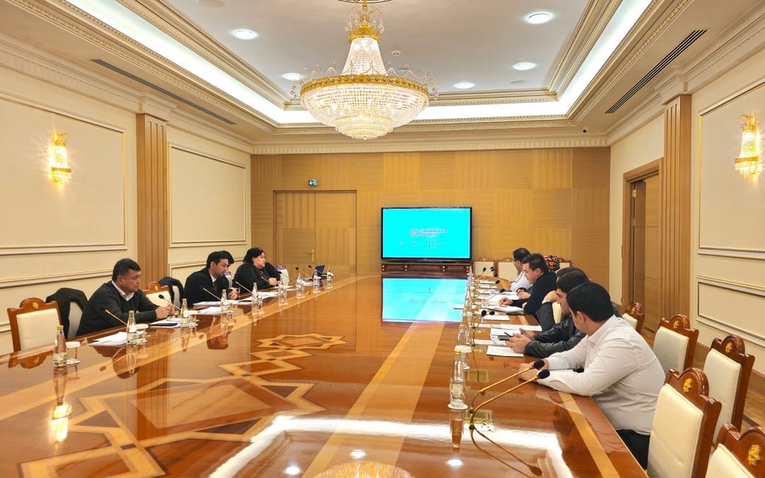 Dizaýnerler «Türkmenistanda öndürilen» milli haryt nyşany üçin 172 sany nusga taýýarladylar