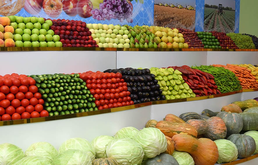 СПП Туркменистана планирует реализовать в течение 5 лет 88 проектов