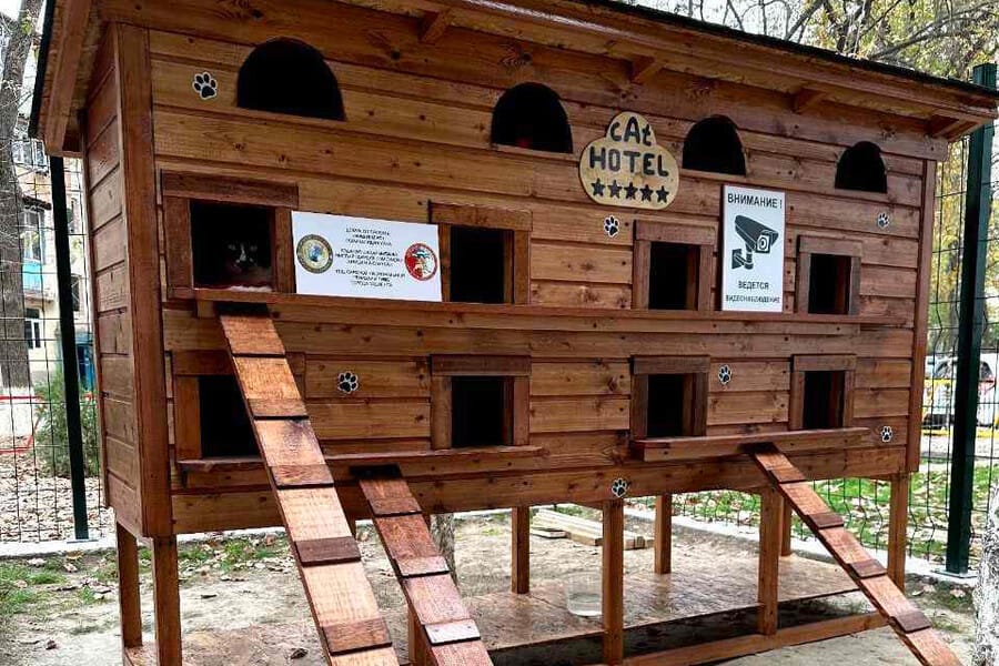 A hotel for stray cats has opened in Tashkent
