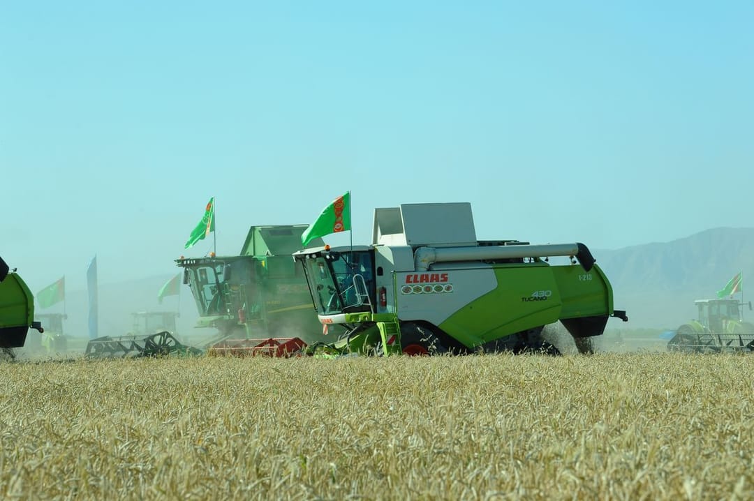 Türkmenistanyň üç welaýatynda galla oragyna başlandy