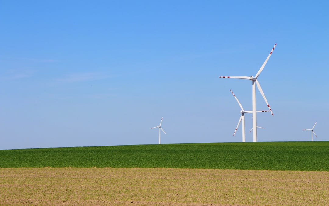 Самый богатый человек Азии планирует создать центр производства возобновляемой энергии