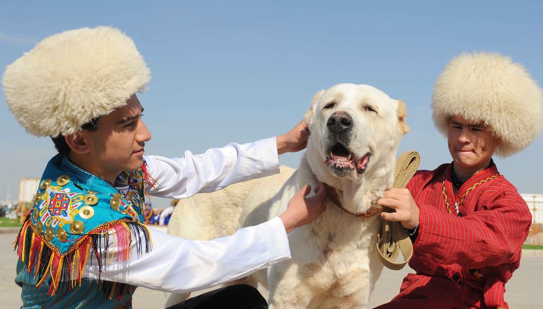 В Туркменистане учреждены почётные звания «Заслуженный собаковод» и «Народный собаковод» 