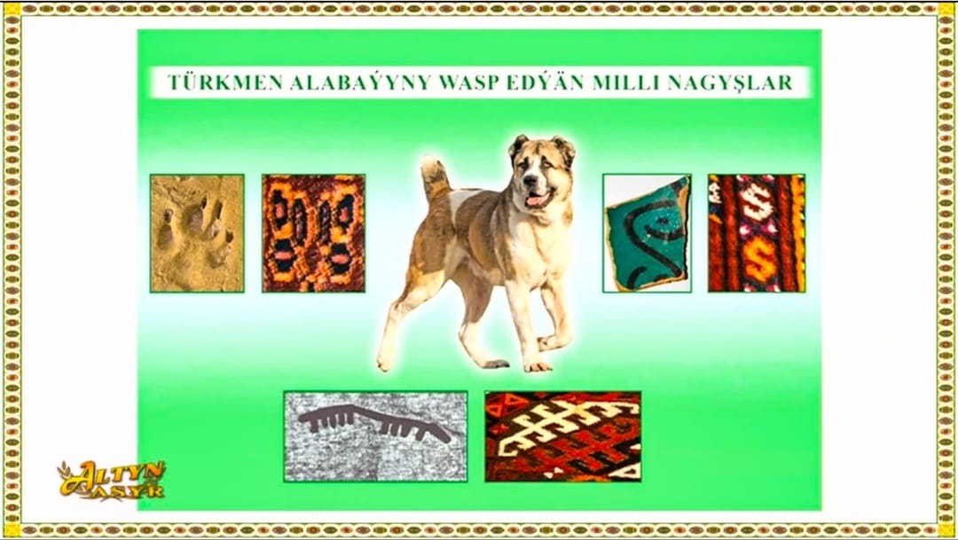 Turkmen scientists found "foodprints" of alabay in national carpet ornaments