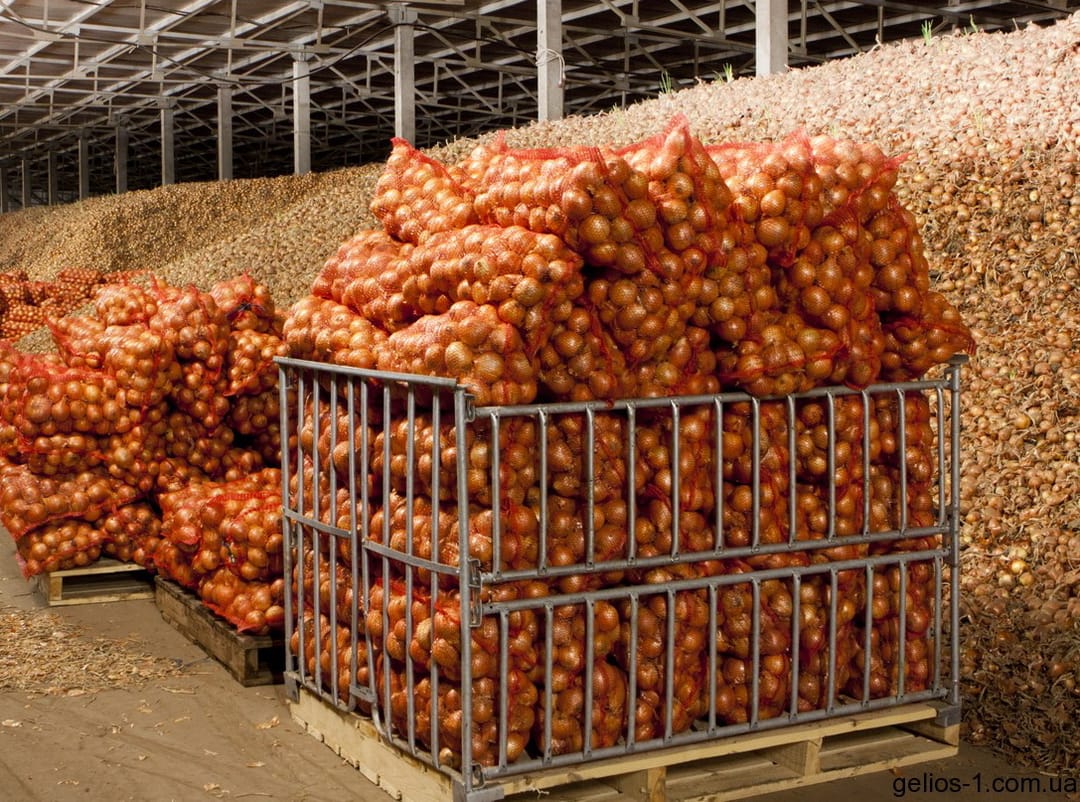 A private warehouse complex for agricultural products is being built in Dashoguz velayat