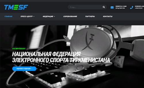 В Википедии появилась статья о Национальной федерации электронного спорта Туркменистана