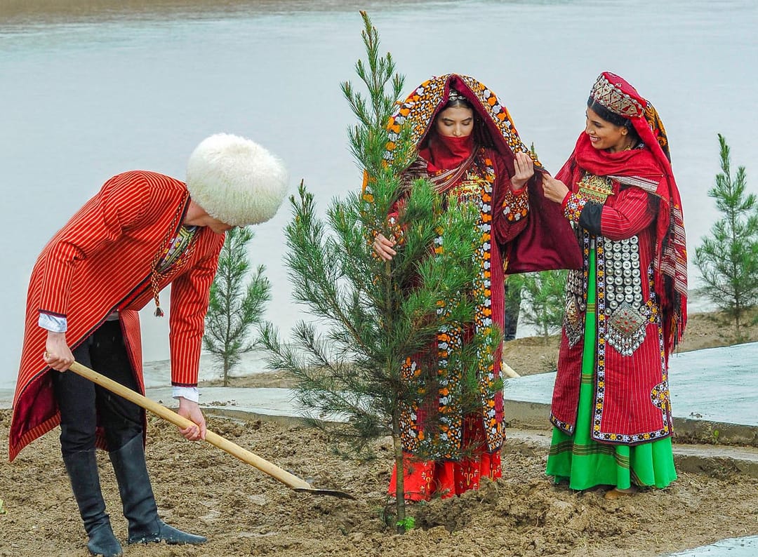 20 марта в Туркменистане пройдет всенародная акция по посадке деревьев