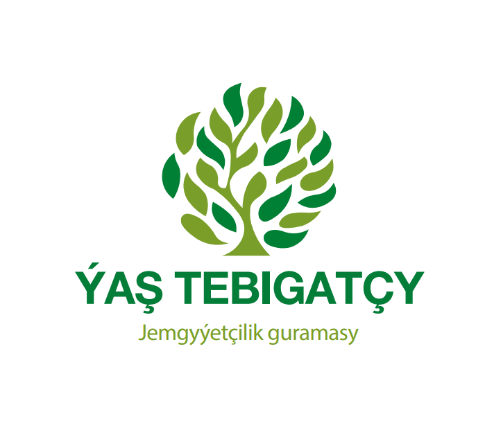Общественная организация «Яш тебигатчи» привлекает молодежь к экологической благотворительности