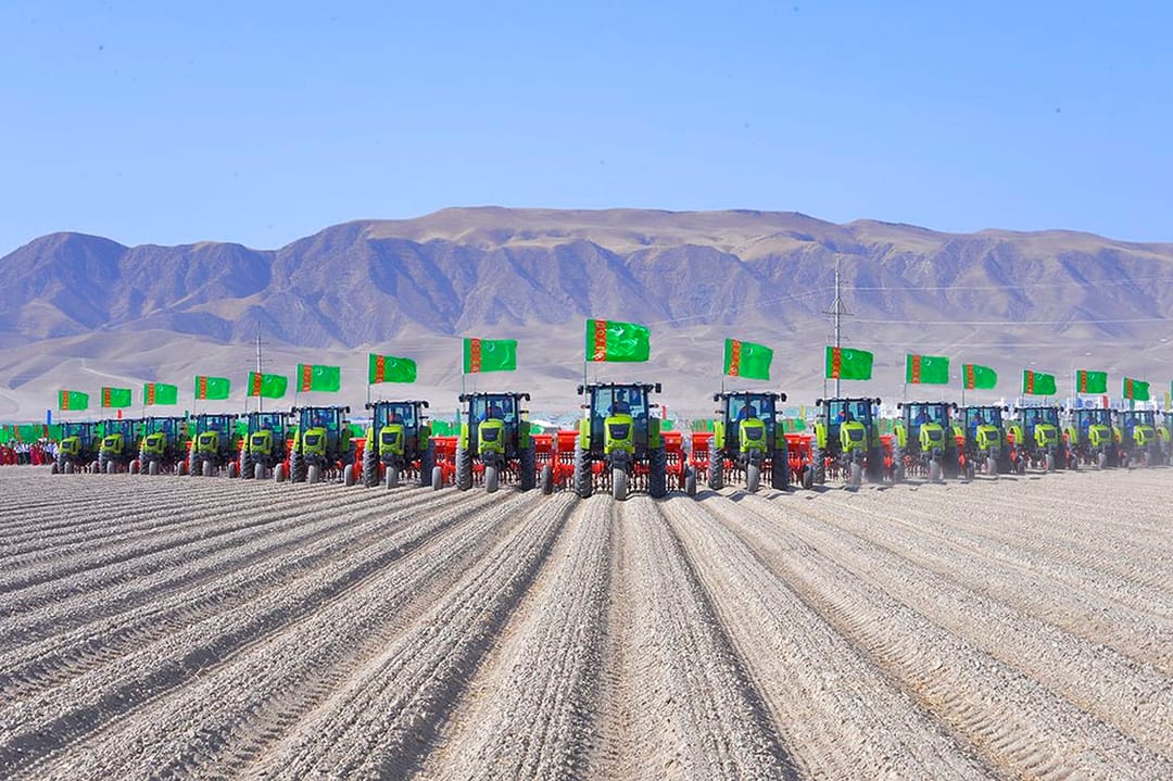 Türkmenistanda ýazlyk soganyň we ýeralmanyň ekiljek ýerleri artdyrylýar