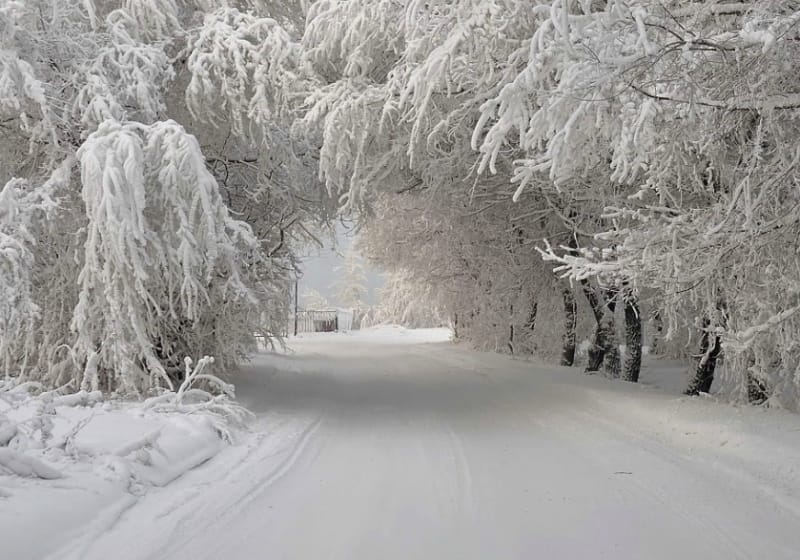 «Microsoft» neýroulgamy Sibir barada aýdym düzüp, ýerine ýetirdi