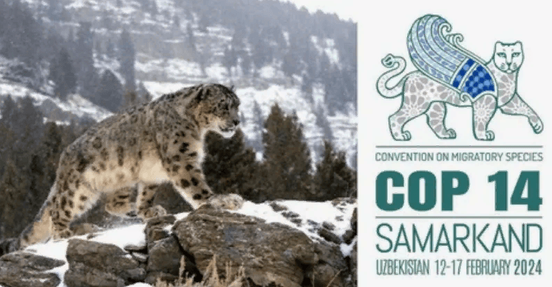 Kazakhstan is interested in continuing cooperation with Turkmenistan on the conservation of Red Book animals